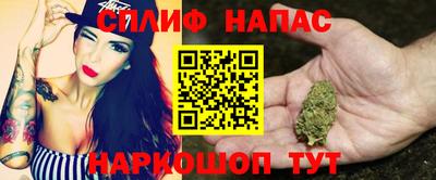гашик Кунгур