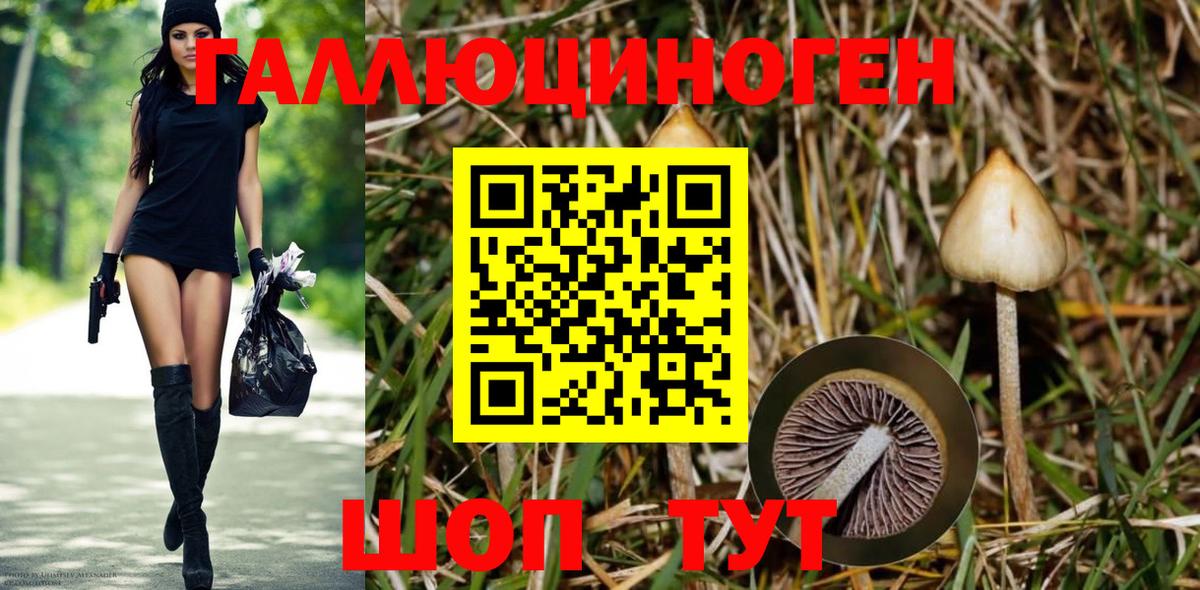 Галлюциногенные грибы прущие грибы Вольск