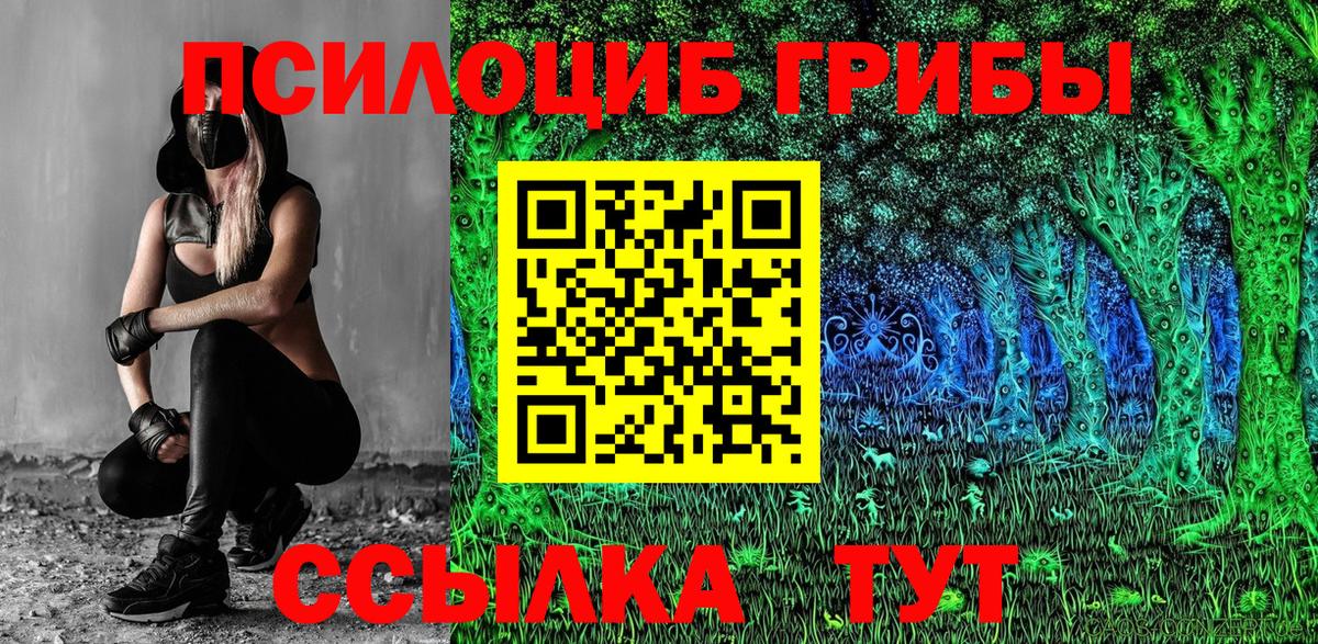 Псилоцибиновые грибы Magic Shrooms  Галлюциногенные грибы Cubensis  Вольск  Вход с VPN 